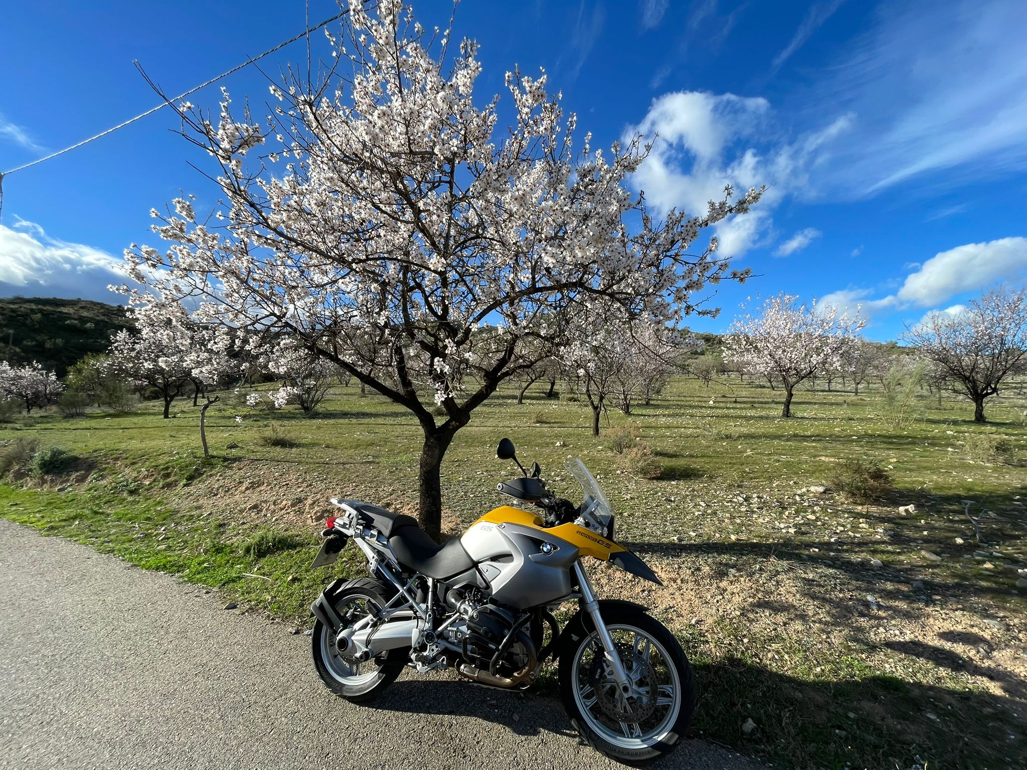 Motorrad in blühender Landschaft